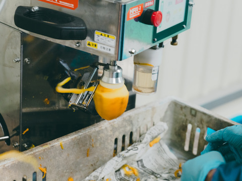 プレミアム干柿SHUKU「西条柿」4玉