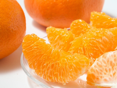 食感シャキシャキッ！甘い果汁たっぷり『わけあり甘平』3㎏