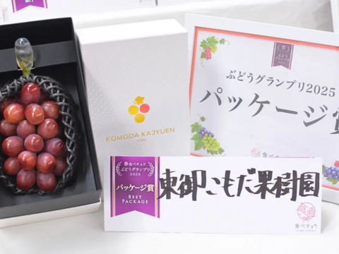 千房に一房の出会い【ラグジュアリーギフト】クイーンルージュ®約700g（1房）長野県認証/特別栽培同基準（信州の環境にやさしい農産物認証50）【2026年秋】