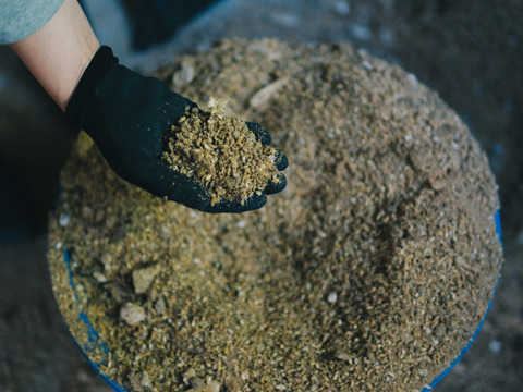 平飼いたまご20個（10個パック×2）