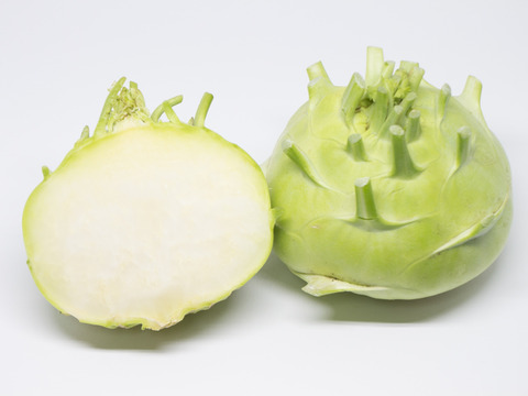 【シャキシャキ！キャベツの仲間】京都産コールラビ　1.5kg（４〜６個程度）