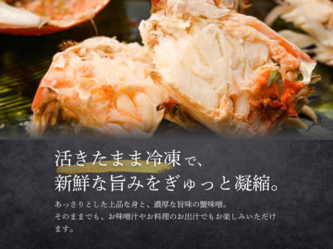 【希少ガニ】宮崎県産アサヒガニ［２kg］漁師直送・生冷凍