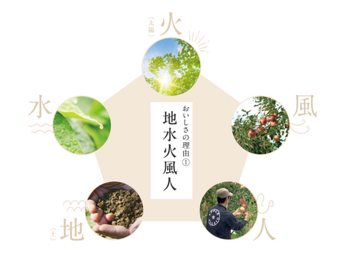 【お買い得】小玉りんご詰め合わせ（家庭用10kg・40～50玉）