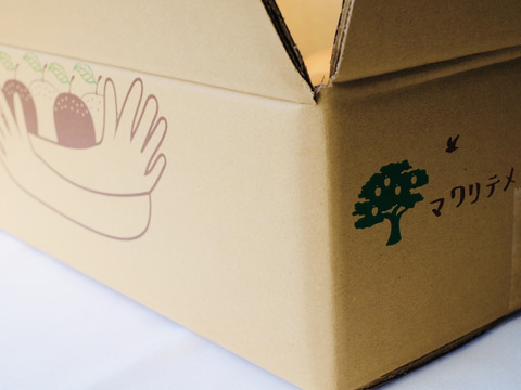 ✴︎限定✴︎【新高】5kg 特大５玉入【贈答用】　しっかり甘い＊食べ応えも大満足＊男性に人気！！庄内甘熟梨 　即日発送