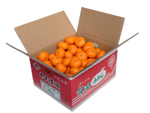 【冬ギフト】【予約割引中】農家直送！完熟有田みかん　M 10kg　～蛍飛ぶ町から旬の便り～　和歌山｜有田｜田口｜ギフト｜こだわり