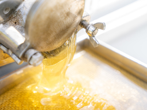 国産生はちみつ【栗・柿】300g