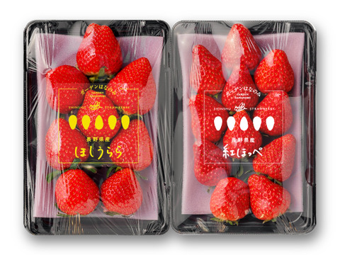 上品な香り！長野県産『紅ほっぺ』『ほしうらら』280g×各１p