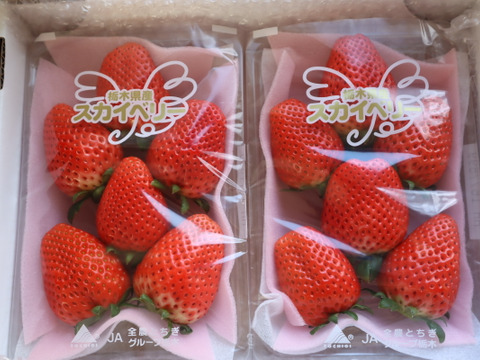 完熟スカイベリー