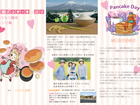 パンケーキに最適 米粉自体に甘みのある寒冷地栽培のミズホチカラ  900g 2025年 新米の米粉 特別栽培米の米粉  岡山の雪国 ひるぜん高原産