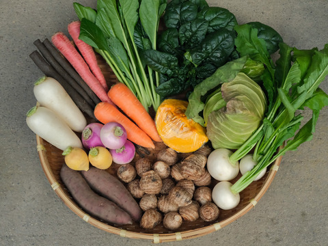 年末限定！多めのお野菜セット〈里芋は必ず1kg入ります！〉