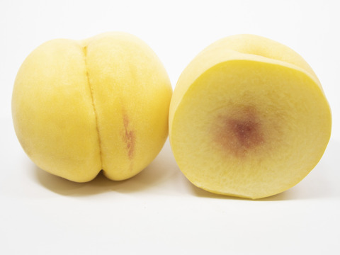 黄貴妃　8～14玉　9月上旬予約　希少な桃　【ASIAGAP認証農場：津軽農園】　安心・安全な桃　収穫した日に発送　家庭用　農家直送【朝どれ】