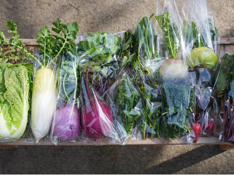 こだわり！ふるるの冬野菜セット10種程度・5㎏