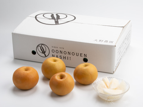 大玉梨　上品な甘さと良き香り【梨：新高】18～6個（約5kg）