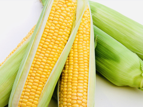 【 父の日ギフト 】朝採り❣️フルーツみたいなミラクルコーン🌽🌽🌽　み・ら・い　(味来)　5kg  (2L〜3Lサイズ　11〜12本)