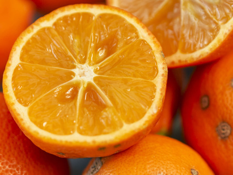 箱込約3㌔　媛レモン（姫レモン　赤レモン）