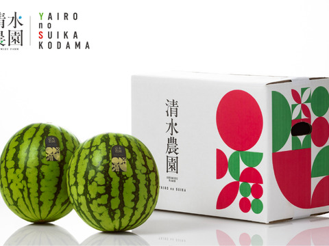 <数量限定＞野菜ソムリエサミット金賞受賞「ハズレの無い甘さ　清水農園の八色産小玉スイカ」2玉入り