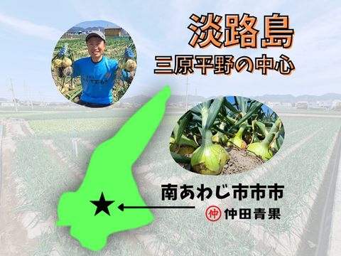【野菜ソムリエサミット金賞🏆】淡路島新玉ねぎ5kg