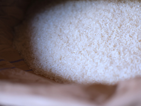 【令和7年新米】白馬村産新米コシヒカリ 10kg｜令和3年金賞受賞歴あり・信州認証米（数量限定）