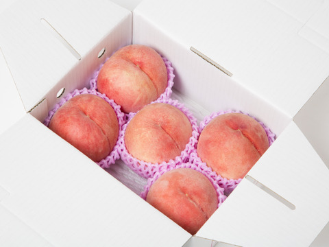 お楽しみ白桃1kg