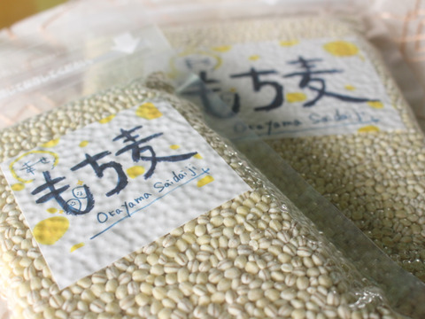 令和7年産★もちっプチっ食感が癖になる！岡山西大寺幸せもち麦（1ｋｇ(
500 g×２袋））