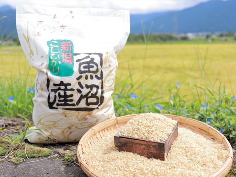 玄米精米セット】R2年 南魚沼産コシヒカリ(各2㎏)セット