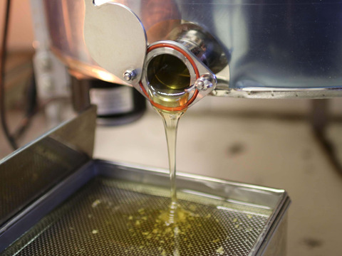 【福袋】群馬県産生はちみつ 30g×5個セット