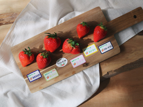 令和4年度 農林水産大臣賞受賞！お家でいちご狩り気分♪いちご最大6品種（3品種以上保障）食べ比べセット計6パック（約230 g × 6パック　計約1.4 ㎏）【いちご食べ比べ】