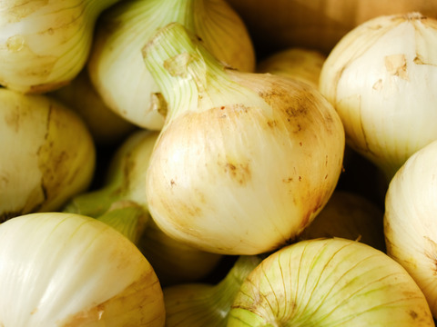 【予約商品】お糖度９〜10度！! 甘い！！　淡路島スイートオニオン 新たまねぎ(2.5キロ)