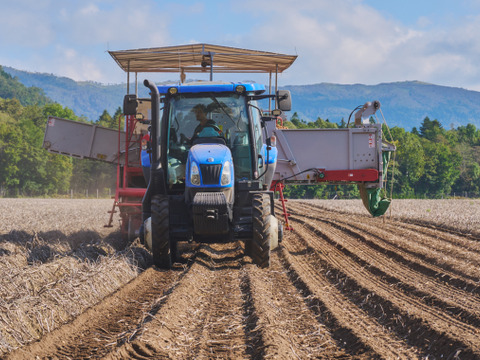 北海道の越冬ジャガイモ『メークイン』(10ｋｇ)