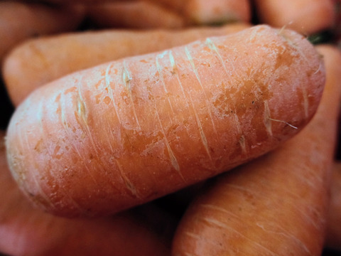 香りが濃い～🥕皮ごと食べたい
訳アリ有機人参 宮崎県綾町産(ご家庭用 箱込5kg)