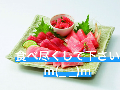 全て入ります! みやび本鮪食べ尽くしセット(不揃い柵3本と1パック:約8人前)