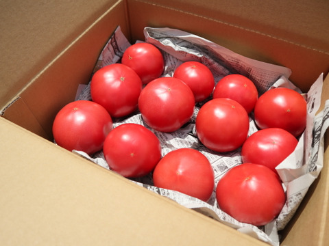 長年のファンお墨付き！佐右衛門のトマト（3kg)