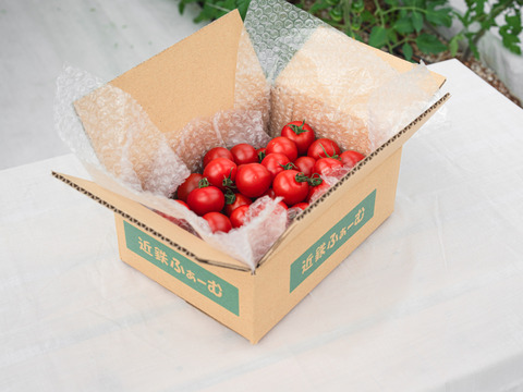 【糖度8以上保証】フルーツトマト「フルティカ」1kg×1箱～甘さと品質に自信あり～
