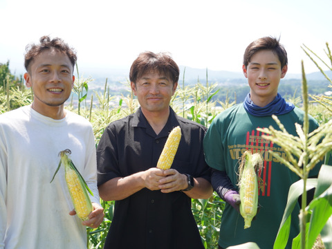 【朝採り即出荷】八ヶ岳産グラビス とうもろこし 約4kg（11本前後）｜バイカラー／生でも食べられるスイートコーン