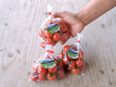 ジュワッと広がる旨み！寒暖差熟成"甲佐町産ミニトマト" (1kg)