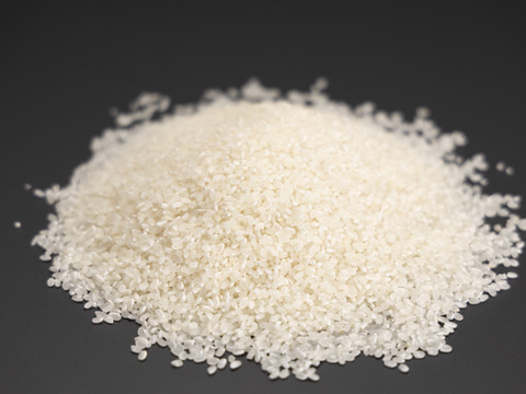 【南魚沼産】コシヒカリ 白米５㎏ 香り高く甘さ際立つ冷めてもおいしいお米