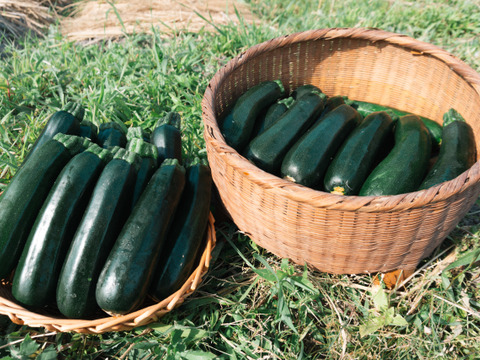 【京都産】ズッキーニ約1kg(4〜6本程度)｜農薬・化学肥料・除草剤不使用｜旨みたっぷりジューシーさが自慢の逸品