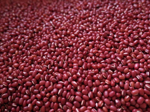 有機小豆「合わせ買い（同梱）用」エリモ小豆(900g) オーガニック 北海道十勝 2025年産