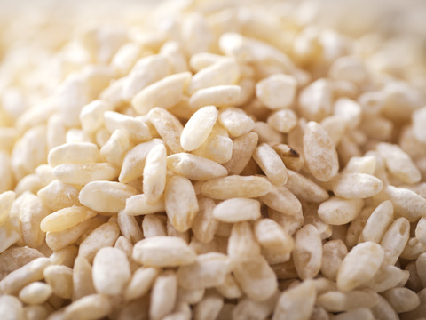 味噌や塩麹の材料に、農薬化学肥料不使用栽培　白米糀（3kg）【本州の方向け】