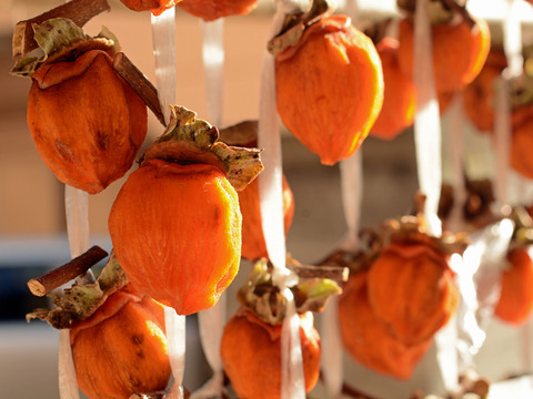 【予約注文】昔ながらの天日干し　蜂谷柿の手作り干し柿　50個