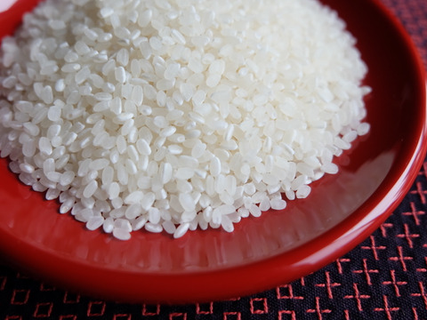 【新米】一等米【栽培期間中農薬不使用コシヒカリ】精米4kg（2kg×2袋）【80】令和5年産 有機肥料のみで栽培