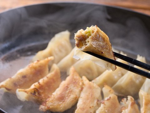 土佐を包むお山の餃子　野菜　

～　製造は「収穫後」から始まっている。鮮度と手ごねに執着した、高知・山間部の傑作　～