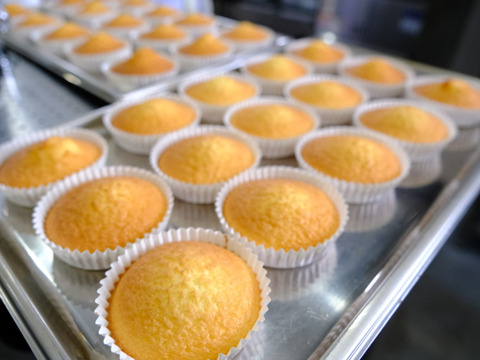 母の日ギフト（メッセージカード付き）熊本県南阿蘇村の自社農場で育てた平飼い卵をたっぷり使った『マドレーヌ（10個）セット』