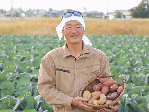 《予約販売》希少な幻の安納芋を熟成！濃厚な甘味でとろけるような焼き芋をご家庭で。【厳選】安納黄金（3㎏）ひとつひとつ紙につつんで丁寧にお届け。熨斗承ります。贈り物にもおすすめ！【冬ギフト】お歳暮にも