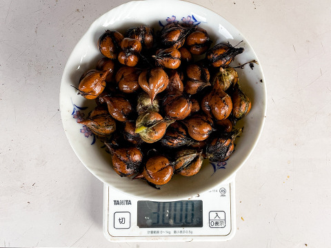 【数量限定】国産くるみ 山グルミ オニグルミ 栽培期間中農薬不使用 150g