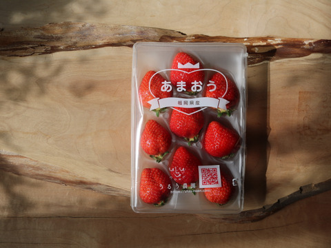 いちご うるベリー220g×2パック【冬ギフト】