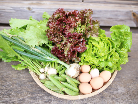 【同梱品】固定種野菜と自然卵セット【野菜7品目・卵20個】