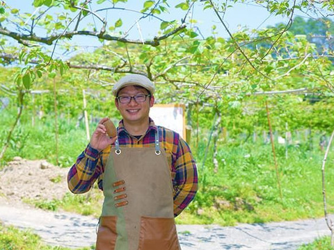 【数量限定!!販売開始！！】糖度18度以上の厳選された最も甘い赤いキウイ！紅鮮(こうせん)【熨斗対応可】L箱18個前後入り：LK