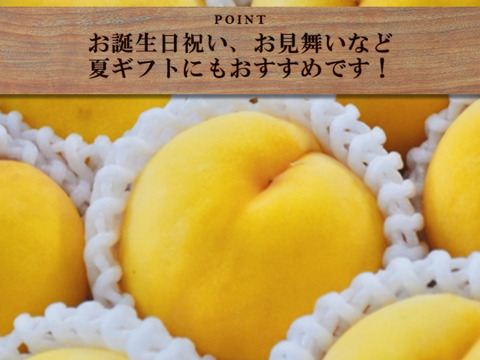 【すぐ発送！💛山梨黄金桃】約２キロ！特大〜大サイズ５～7個！一度食べたら忘れられない  山梨の黄金桃をお届け！