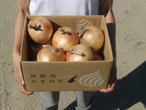 【夏限定】３ｋｇ　生でサクっと甘い　熟成サラダ玉ねぎ「熟れっ玉」（Ｌ-２Ｌサイズ）